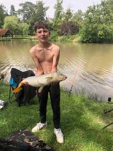 Common Carp