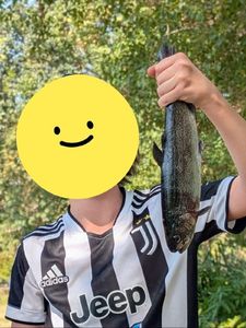 Rainbow Trout