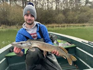 Northern Pike