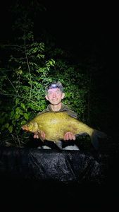 Common Bream
