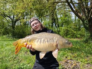 Mirror Carp
