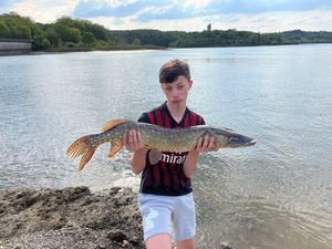 Northern Pike