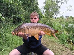 Mirror Carp