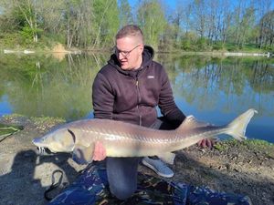 Sturgeon