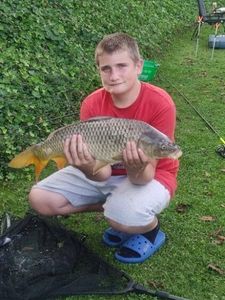 Common Carp