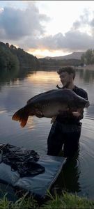 Mirror Carp