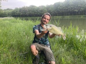 Largemouth Bass