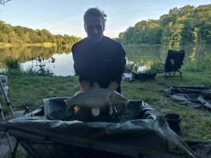 Common Carp