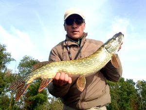 Northern Pike