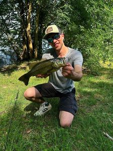 Largemouth Bass
