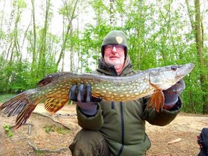 Northern Pike
