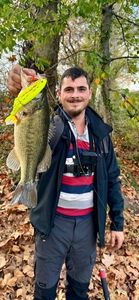 Largemouth Bass