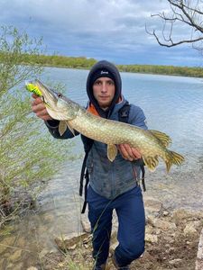 Northern Pike