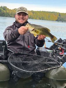 Largemouth Bass