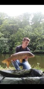 Common Carp