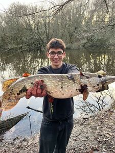 Northern Pike