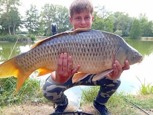 Common Carp