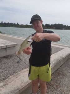 Largemouth Bass