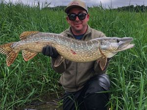 Northern Pike