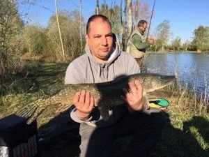 Northern Pike
