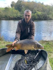 Mirror Carp