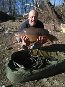 Mirror Carp