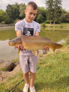 Common Carp