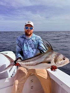 Roosterfish