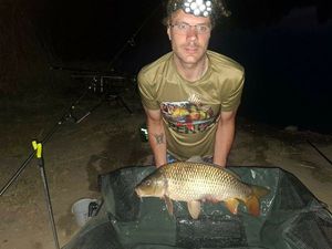 Common Carp