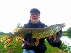 Northern Pike