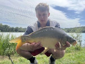 Mirror Carp