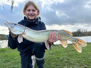 Northern Pike
