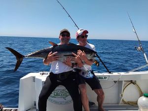 Bluefin Tuna