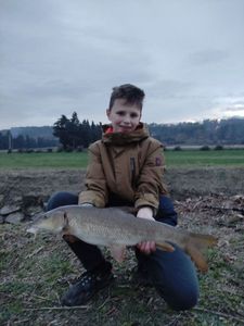 Barbel