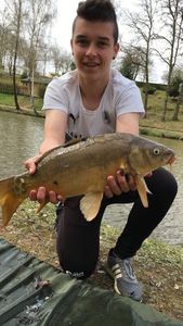 Mirror Carp
