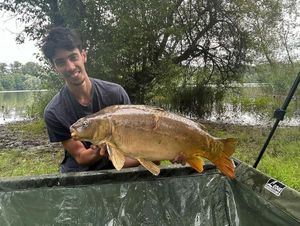 Common Carp