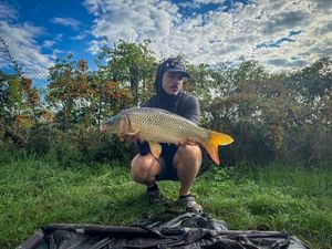Common Carp