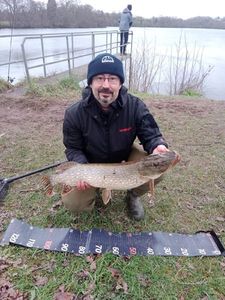 Northern Pike