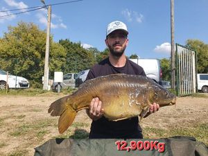 Mirror Carp
