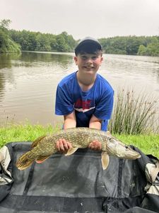 Northern Pike