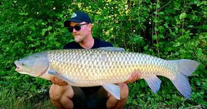 Grass Carp