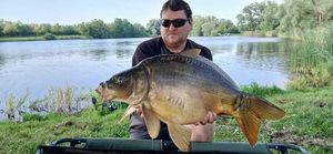 Mirror Carp