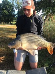 Common Carp