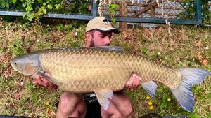 Grass Carp