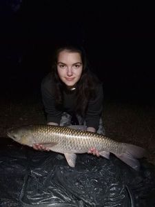 Silver Carp