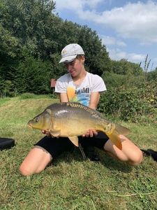 Mirror Carp
