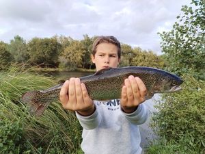 Rainbow Trout