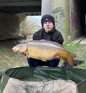 Mirror Carp