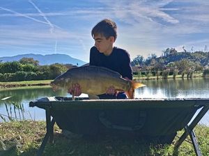 Common Carp