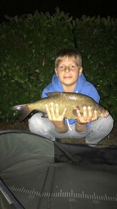 Common Bream